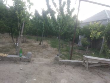 2 sot, Mülkiyyətçi, Müqavilə