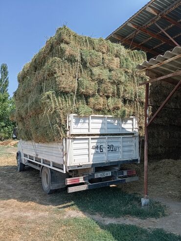 домик для животных: Сено в тюках - Кормовое сено в тюках стандартного формата, аккуратно