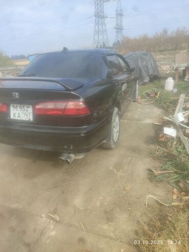 импреза гц: Honda Accord: 2001 г., 2 л, Типтроник, Бензин, Седан
