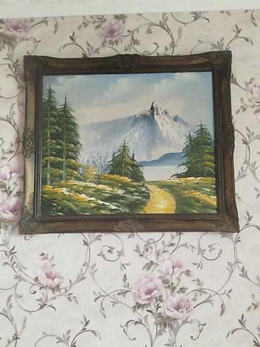 Tovuz quşları: Məhsul: Tovuzquşu (erkək) Təsvir: - Parlaq mavi boyun və döş, geniş — 2