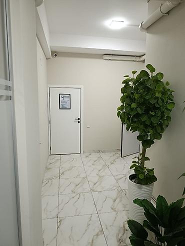 этажи: Барбершоп 220 м², 5 комнат, С ремонтом, Частично с оборудованием, Многоэтажное жилое здание, Отдельный вход — 4