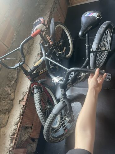 velosiped çanta: Şəhər velosipedi 20", sürətlərin sayı: 1