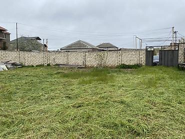 Torpaq sahələrinin satışı: 5 sot, Tikinti, Mülkiyyətçi, Kupça (Çıxarış) — 4