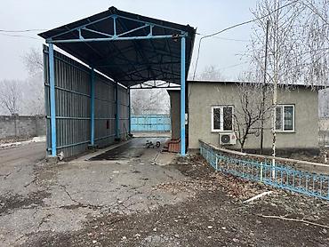 Продажа участков: 800 соток, Красная книга — 12
