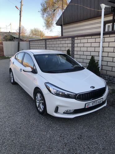 утеплитель капота: Kia K3: 2018 г., 1.6 л, Автомат, Бензин, Седан