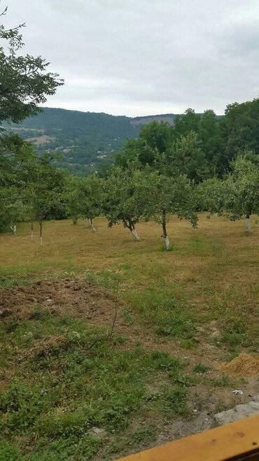 lokbatanda satilan heyet evleri 2023: 43 sot, Tikinti, Barter mümkündür, Kupça (Çıxarış)