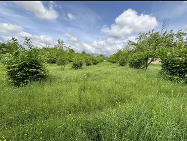 Torpaq sahələrinin satışı: 22 sot, Mülkiyyətçi, Kupça (Çıxarış) -da lalafo.az — 8 Torpaq sahələrinin satışı: 22 sot, Mülkiyyətçi, Kupça (Çıxarış) — 8