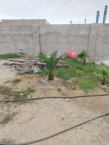 Torpaq sahələrinin satışı: Tikinti, Mülkiyyətçi — 8