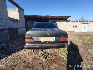 мтз беларусь 82 1: Mercedes-Benz W124: 1992 г., 2 л, Механика, Газ, Седан