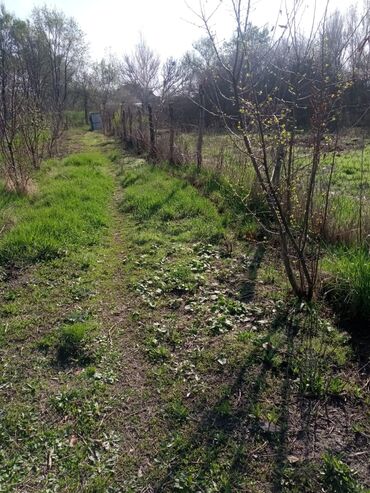 дом село раздольный: Үй, 2000 кв. м, 3 бөлмө, Менчик ээси, Косметикалык оңдоо