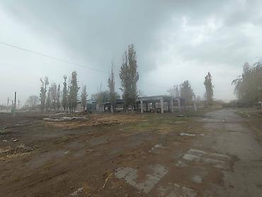 Продажа сельхоз предприятий: Ферма КРС, 800 соток, Действующий, Частично с оборудованием, Скважина, Холодная вода, Электричество — 10