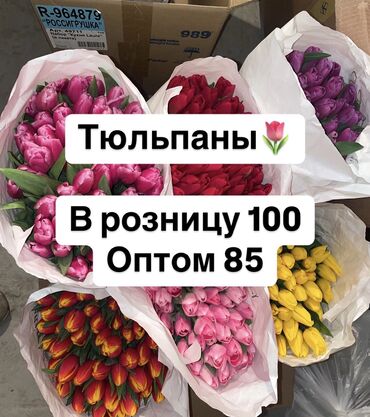 фруктовый букет: Тюльпаны оптом и в розницу🌷💐 Цены:‼️ Оптом 85 В розницу 100 Можем