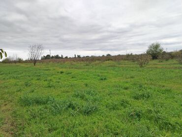 Torpaq sahələrinin satışı: 130 sot, Tikinti, Kupça (Çıxarış) — 27