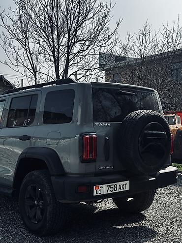 Tank: Tank 300: 2022 г., 2 л, Бензин — 5