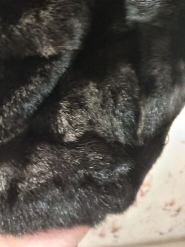 Kürklər: Suba tezedir — 8