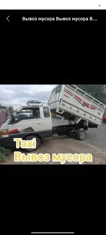 купить корм для перепелов несушек: Вывоз мусора вывоз мусора вывоз мусора Вывоз мусора вывоз мусора вывоз