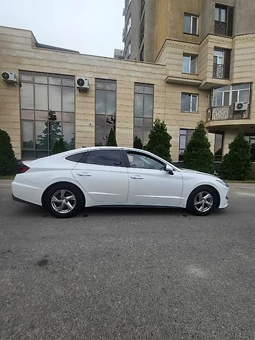 sonata: Hyundai Sonata: 2020 г., 2 л, Автомат, Газ, Седан — 3