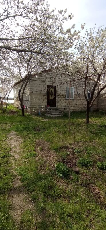 Torpaq sahələrinin satışı: 9 sot, Biznes üçün, Mülkiyyətçi, Kupça (Çıxarış) — 9