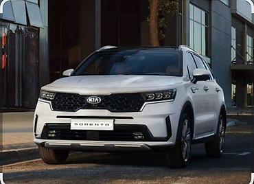 прямотое: Удаление сажевого фильтра (DPF) и программное отключение для Kia — 5