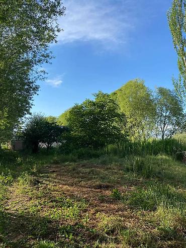 Продажа коттеджей и домов: 🔷 Продается дом с большим земельным участком на Иссык-Куле 🔷 Локация — 8