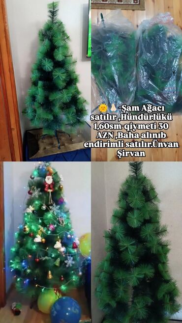it sekileri: Məhsul: Süni Şam Ağacı - Hündürlüyü: 160 sm - Rəng: Yaşıl, sıx
