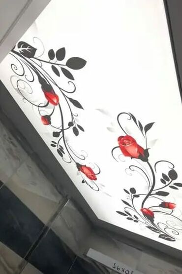 led isqlar: 3D fotopanelli dartma tavan - Tavan üçün fotoçaplı PVC membran: açıq