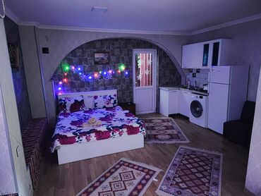 Günlük kirayə evlər: 30 kv. m, 1 otaqlı — 4