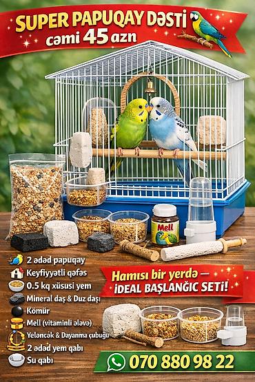 ev itleri qiymeti: SUPER PAPUQAY DƏSTİ 🦜cemi 45 azn ✨ Hamısı bir yerdə – ideal başlanğıc — 1