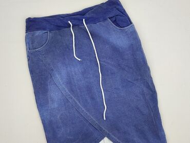 plisowane spódnice diverse: Women`s skirt, size L (EU 40)