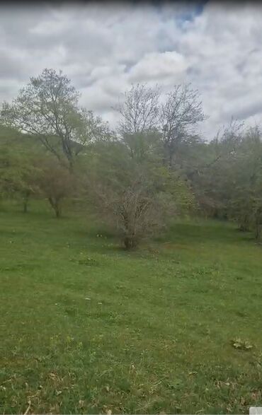 Torpaq sahələrinin satışı: 150 sot, Biznes üçün, Mülkiyyətçi, Kupça (Çıxarış) -da lalafo.az — 5 Torpaq sahələrinin satışı: 150 sot, Biznes üçün, Mülkiyyətçi, Kupça (Çıxarış) — 5