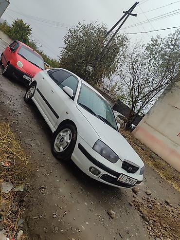 Hyundai: Hyundai Elantra: 2001 г., 1.5 л, Механика, Бензин, Хэтчбэк — 4