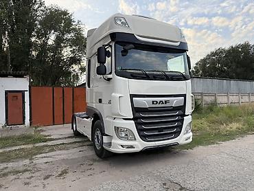 даф 2015: Тягач, DAF, 2019 г., Без прицепа — 3