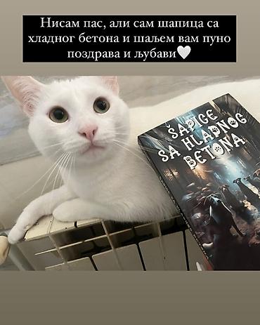 deks rok: Knjiga: Šapice sa hladnog betona – Tina Horvat - Žanr: savremena — 7