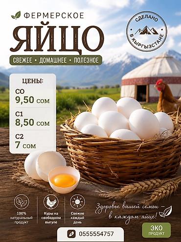 🥚 Свежие фермерские яйца оптом и в розницу! ✅ Более 5 лет успешно