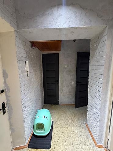 4: 1 комната, 40 м², Филармония Индивидуалка, 4 этаж — 3