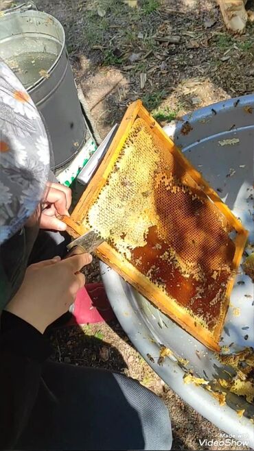 Мёд: Токтогульский мед,100℅чистый 1л-750сом 1бачок-15000т — 5