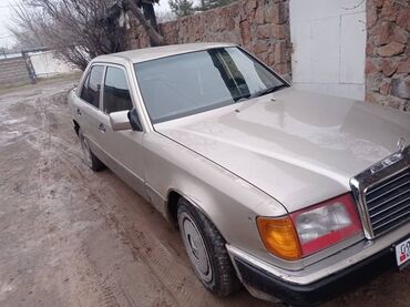 Mercedes-Benz: Mercedes-Benz V 200: 1992 г., 2 л, Механика, Бензин, Седан