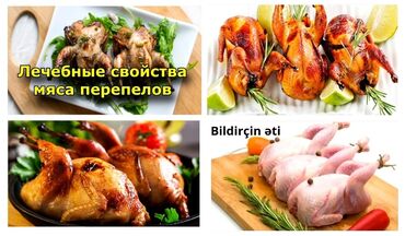 Quş: İnsan sağlamdırsa xoşbəxtdir. Sağlam qalmaq üçün həftədə 3-4 ədəd — 9