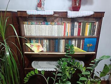 Шкафы: Домашняя библиотека: подборка книг в шкафах с застеклёнными полками - — 1
