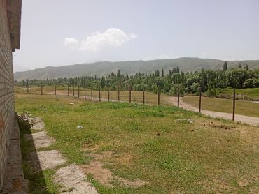 Продажа участков: 120 соток, Для сельского хозяйства, Красная книга — 4