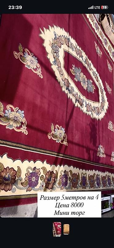 Ковры и паласы: Ковер 500 * 400 — 9