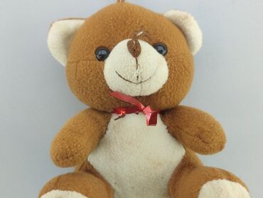 Mascots: Mascot Teddy bear, condition - Good