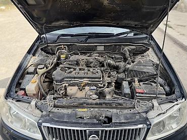 suzuki samurai: Nissan Sylphy: 2005 г., 1.8 л, Автомат, Бензин, Седан — 6