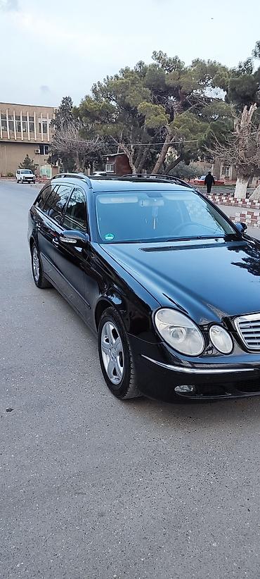 e60 m5 disk: Mercedes-Benz E 220: 2.2 l | 2006 il Universal — 3