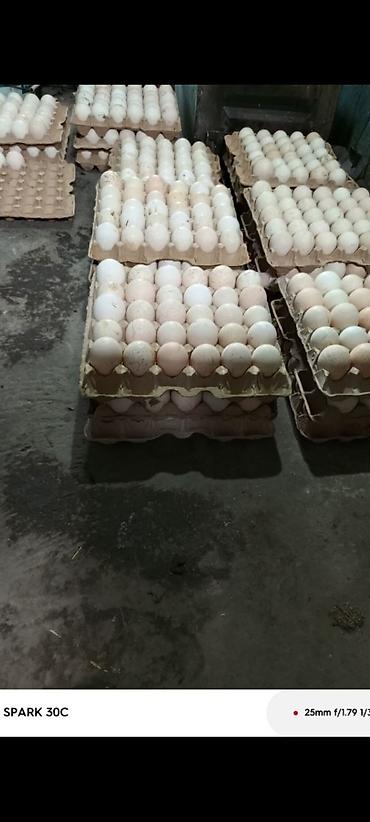 Уход за телом: ПРОДАЮ Мочалки . Ручная вязка, массажный эффект, легко пенится — 9