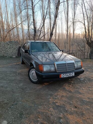 минивэн бишкек цена: Mercedes-Benz W124: 1989 г., 2.3 л, Механика, Бензин, Минивэн