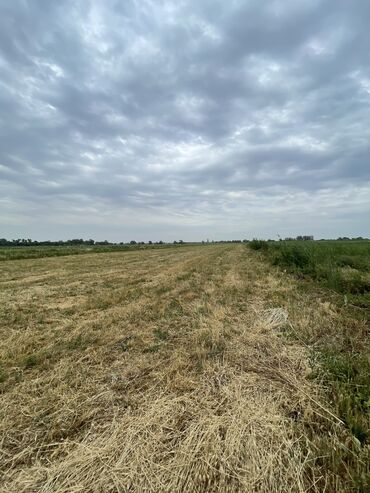 продаю участок село жал: 200 соток, Для сельского хозяйства, Договор купли-продажи
