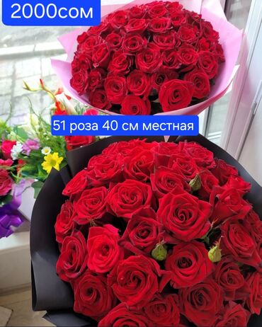 101 роза бишкек 990 сом: Организация мероприятий | Букеты, флористика