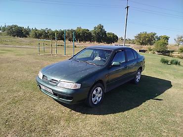 фара опель вектра б: Nissan Primera: 1999 г., 1.6 л, Механика, Бензин, Седан — 1