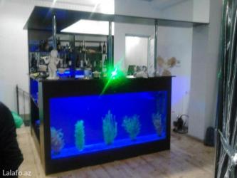 akvarium lampa: Akvarium-şkaf, 1000 l — 9